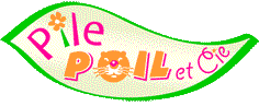 logo PilePoil